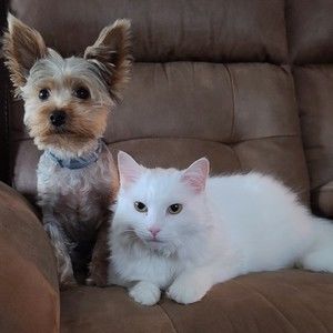 Meet your Posher, Posh